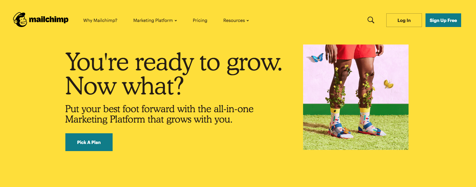 mailchimp